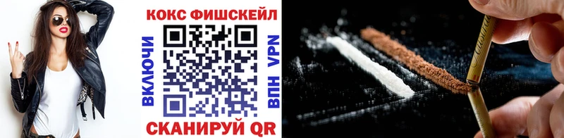 Cocaine FishScale закладки mega ссылка Славгород