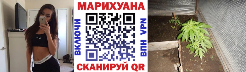 Каннабис ГИДРОПОН  даркнет какой сайт  Славгород 